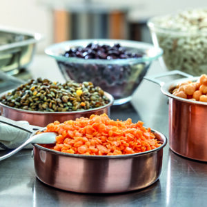 Legumes secs